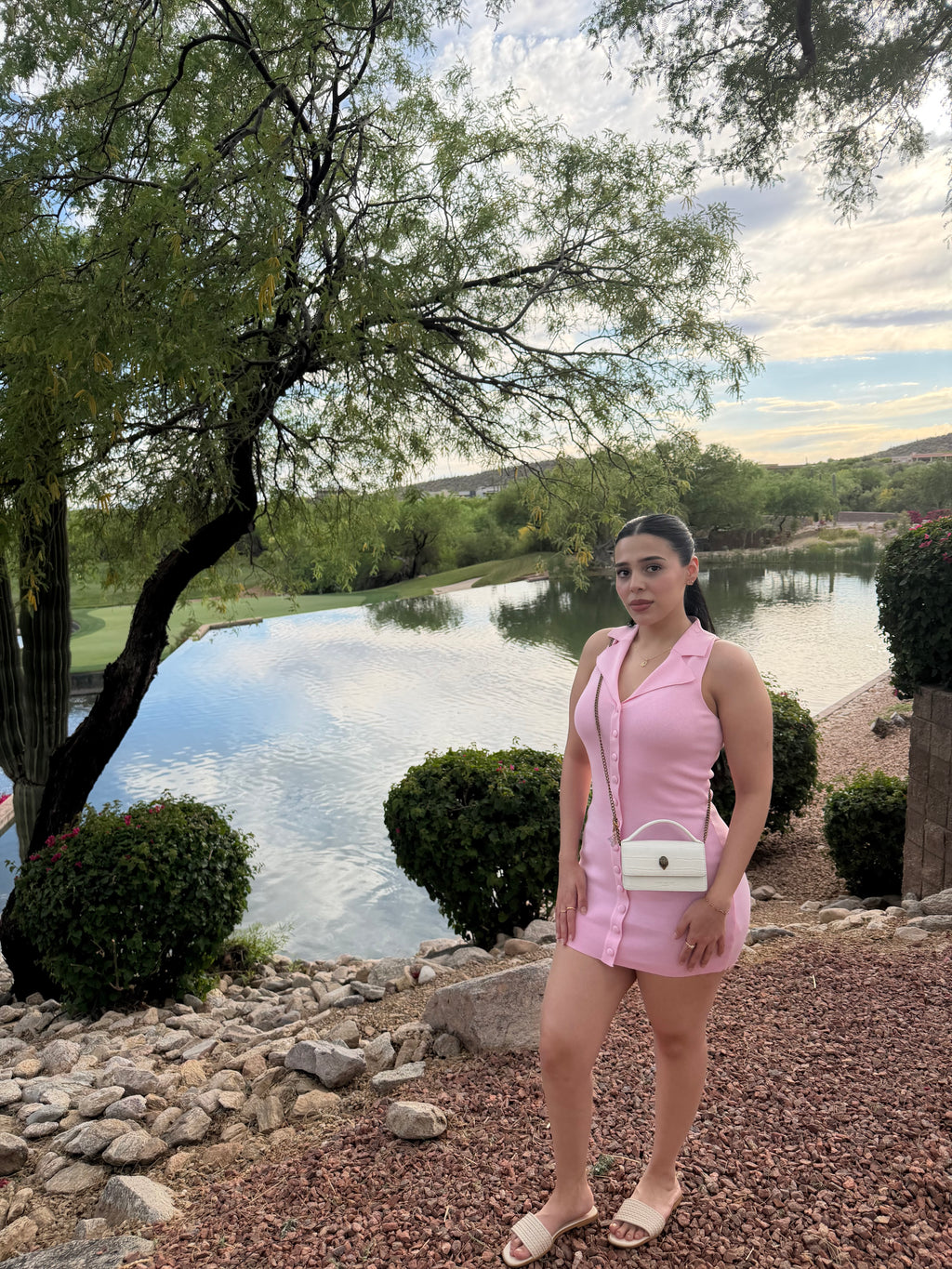 Blush Muse Dress