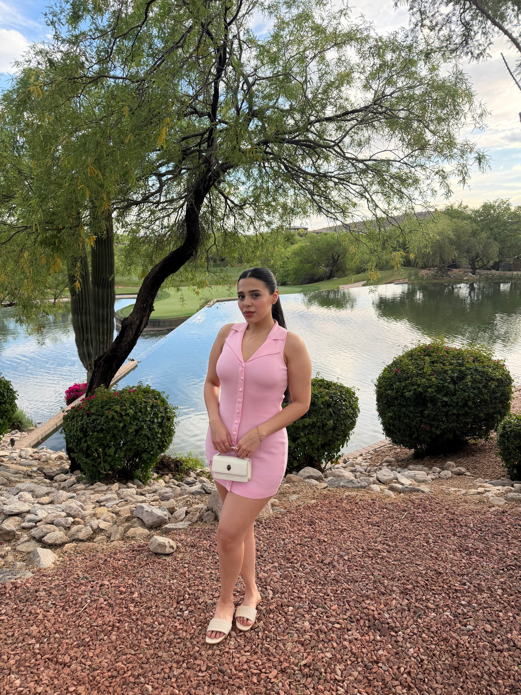 Blush Muse Dress