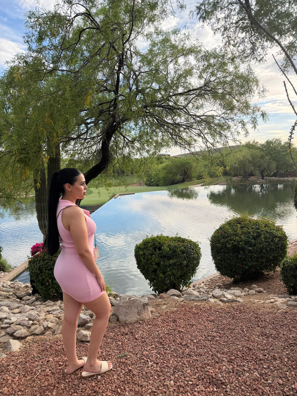 Blush Muse Dress