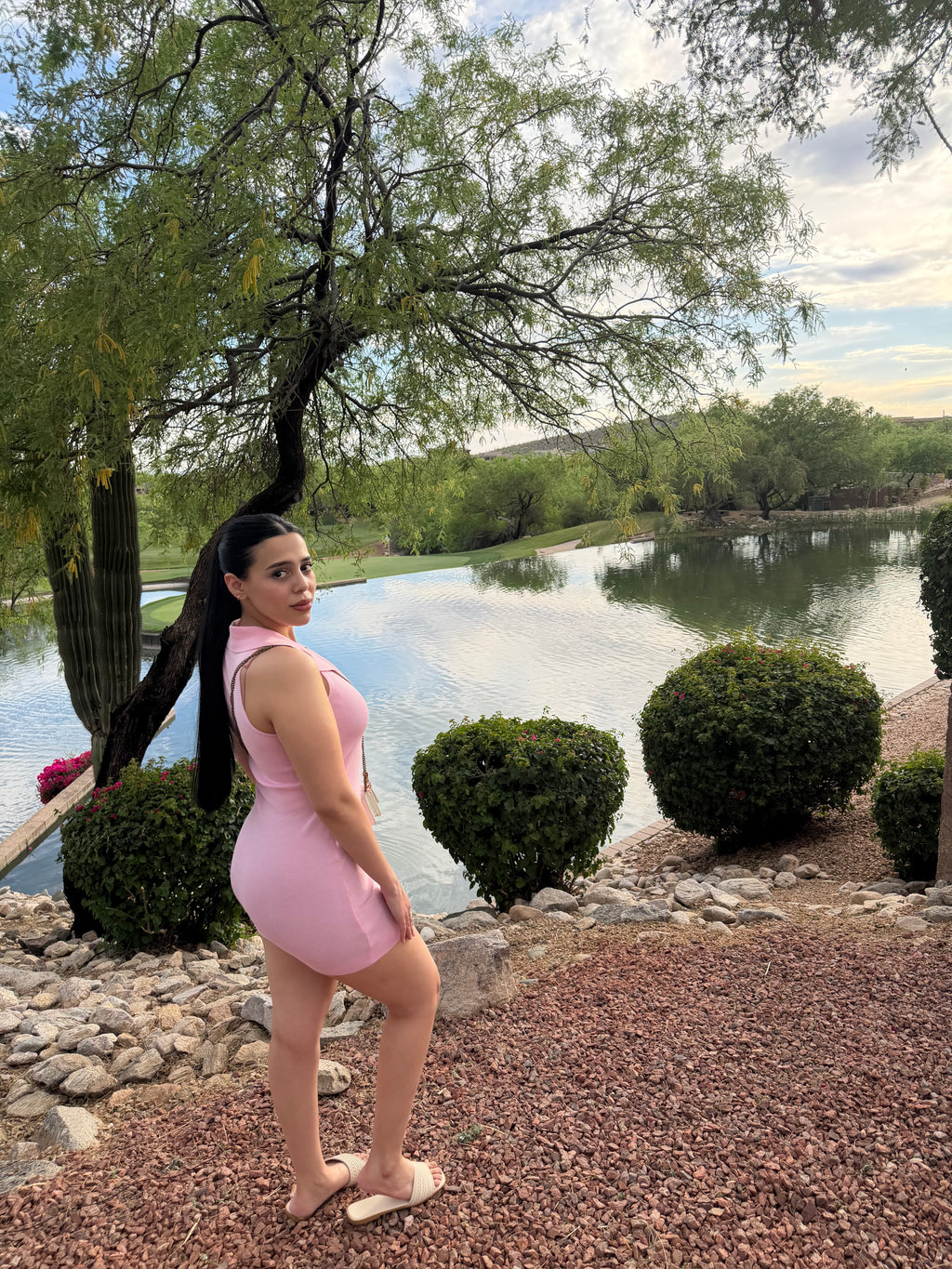 Blush Muse Dress